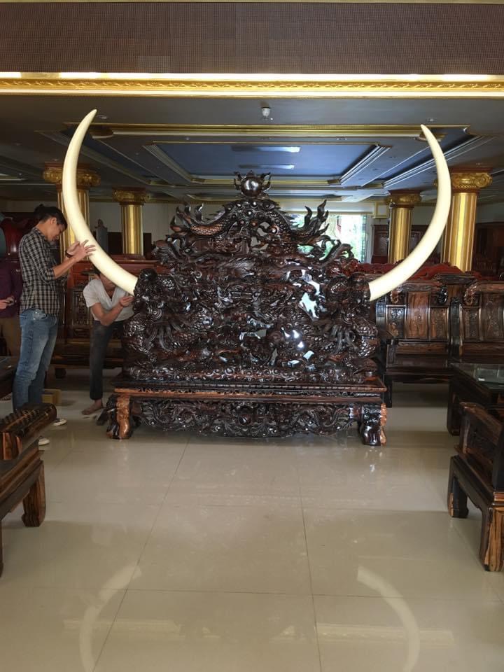 GIÁ NGÀ GỖ MUN LÀO