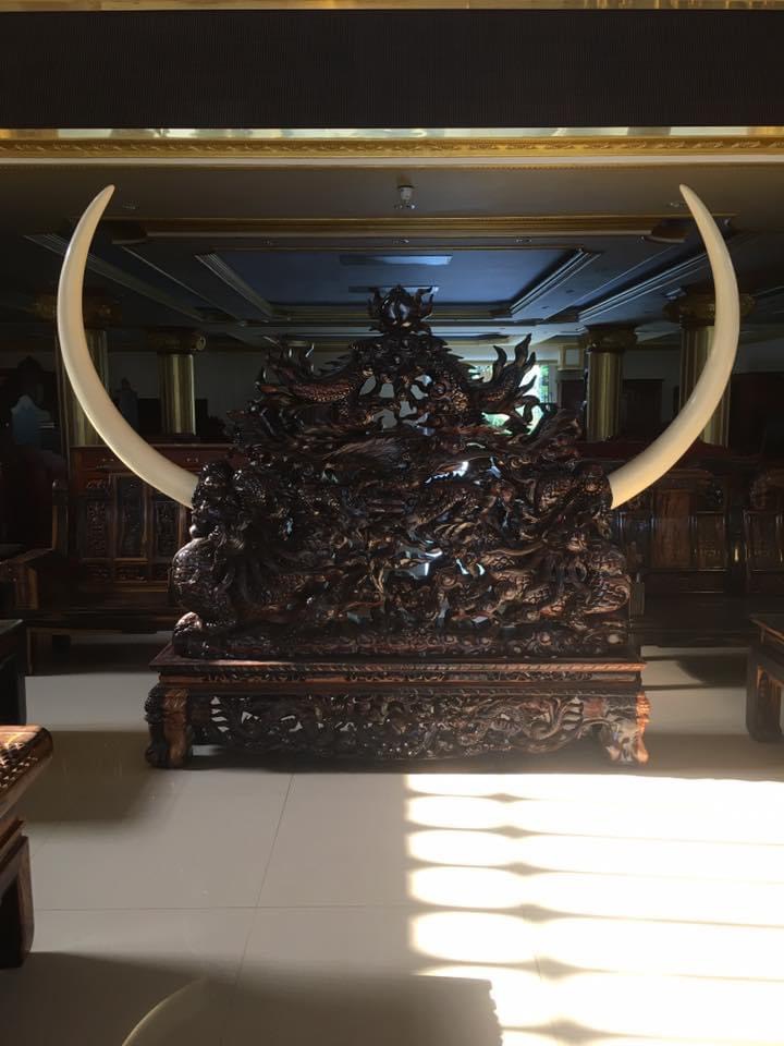GIÁ NGÀ GỖ MUN LÀO