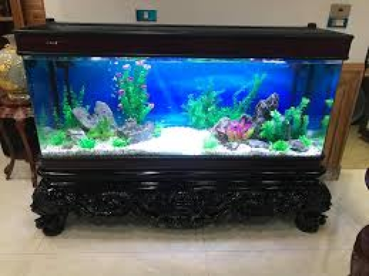 50 MẪU BỂ CÁ GỖ CAO CẤP